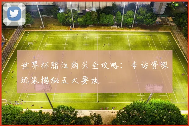 世界杯赌注购买全攻略：专访资深玩家揭秘五大要诀