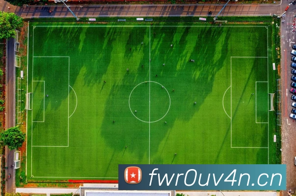 开云app官方在线入口APP 体育赛事宣传图